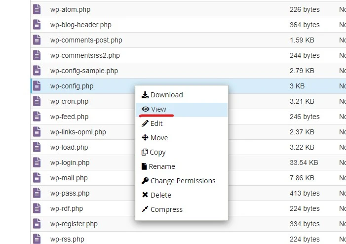 how to view wordpress database credentials in cpanel using file manager