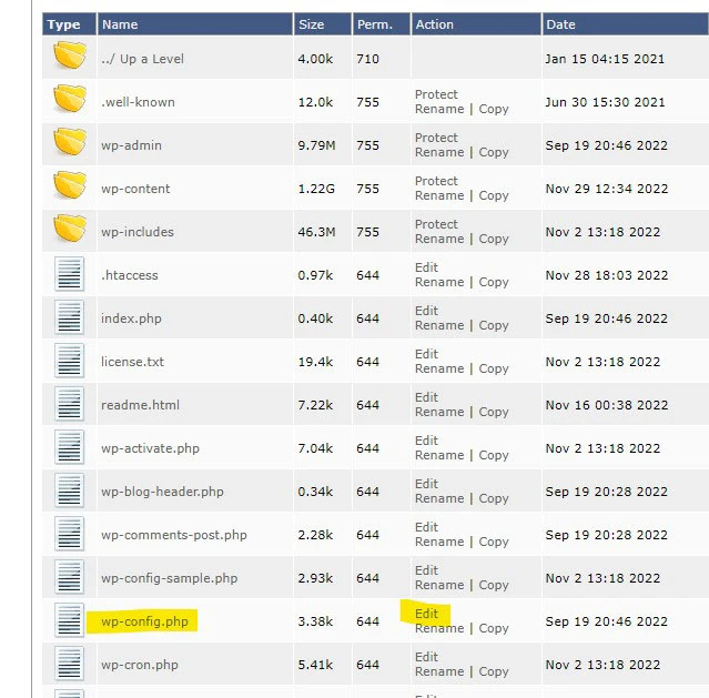 how to edit wp-config.php file in directadmin