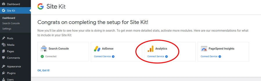 connect wordpress with google analytics