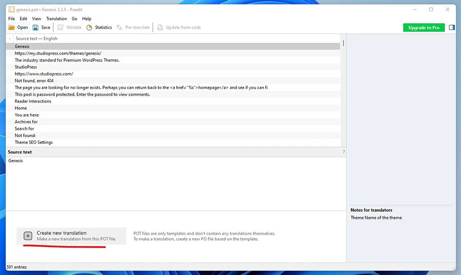 wordpress theme and plugin translation