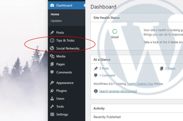 How to add custom links to WordPress admin menu to ease website administration