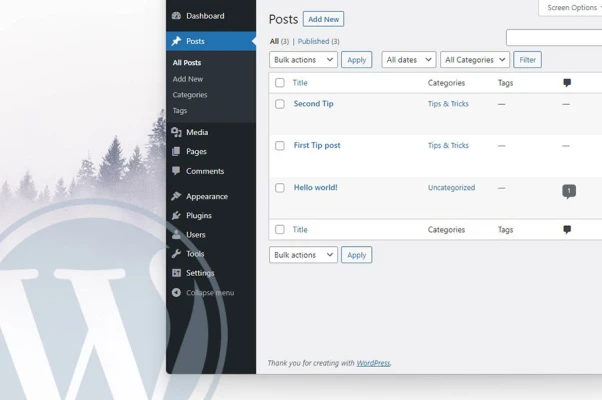 How to find page ID or page ID in WordPress