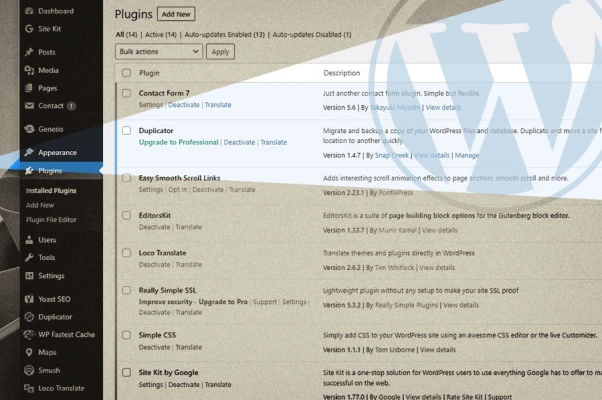 Why your WordPress or WooCommerce admin panel is slow, and how to fix it