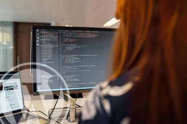 How to disable error emails in WordPress