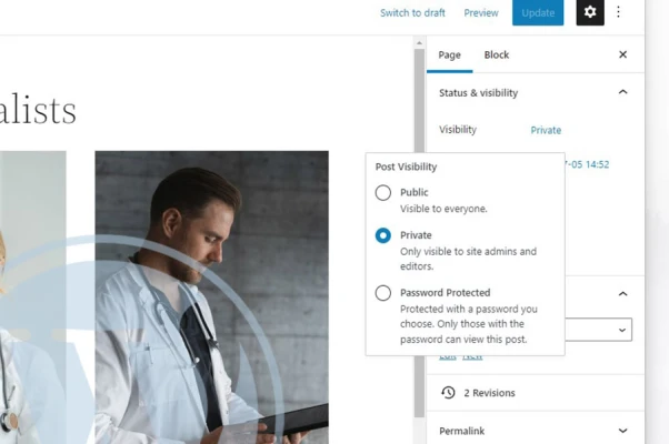 How to automatically hide Draft and Private links from WordPress menu