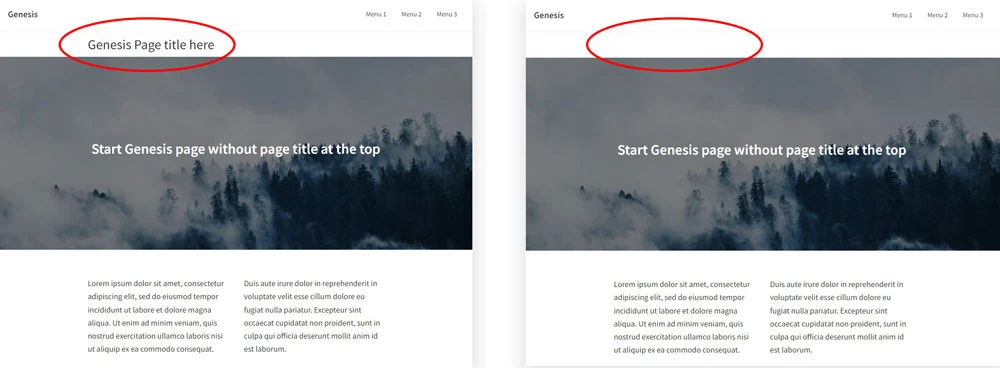 genesis sample theme remove page title
