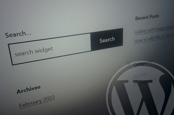 How to know what people search for in your WordPress website