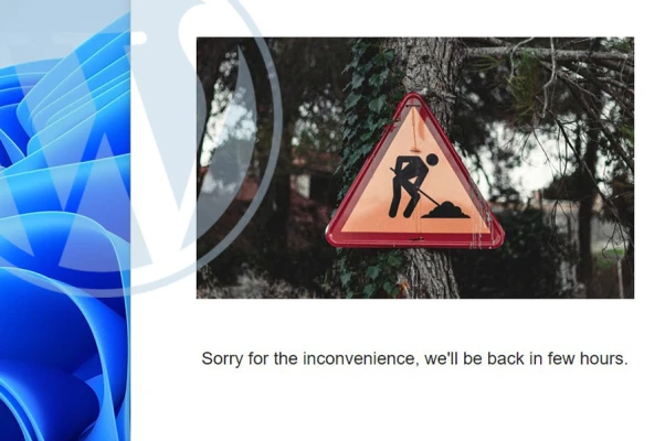 How to permanently or temporary disable WordPress website