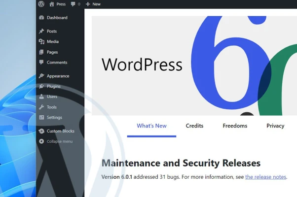 What WordPress version do I have? Find out in one minute