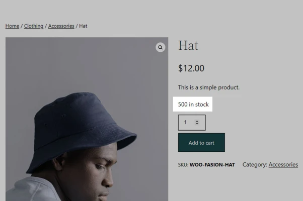How to show or hide number of items In Stock in WooCommerce