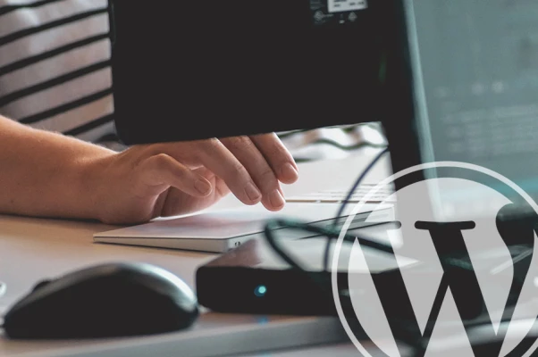 How to add a PDF link to WordPress, or add PDF file as download