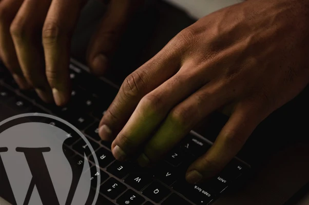 How to track 404 errors, and redirect them in WordPress